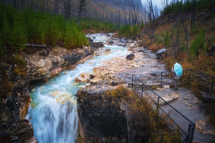 Schilderachtige dagtocht naar Banff National Park, met Lake Louise, Moraine Lake en de Canadese Rockies, foto 6 | wizardtrip