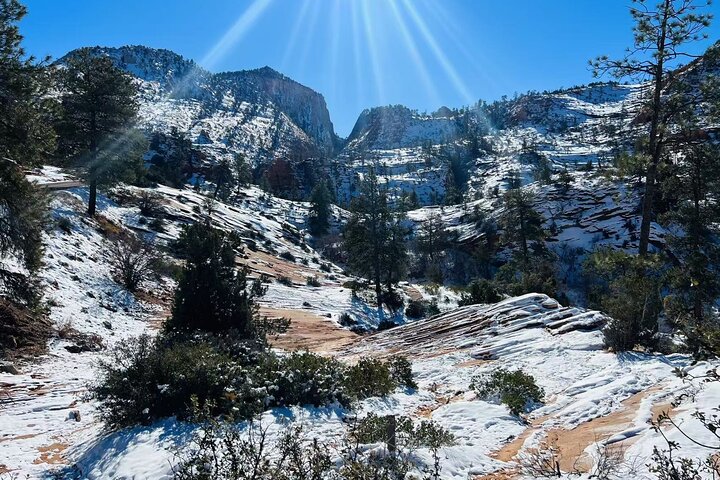 Small group tour exploring the stunning red rock canyons and scenic trails of Zion National Park from Las Vegas, photo 11 | wizardtrip