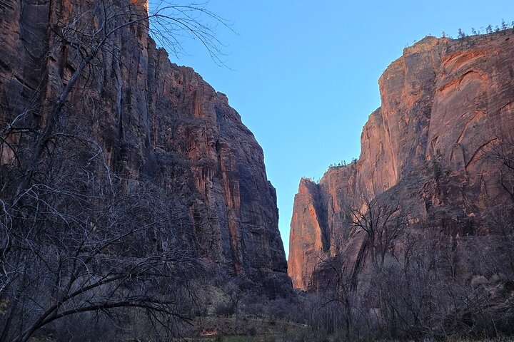 Small group tour exploring the stunning red rock canyons and scenic trails of Zion National Park from Las Vegas, photo 12 | wizardtrip