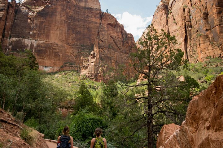 Small group tour exploring the stunning red rock canyons and scenic trails of Zion National Park from Las Vegas, photo 16 | wizardtrip