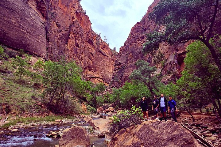 Small group tour exploring the stunning red rock canyons and scenic trails of Zion National Park from Las Vegas, photo 22 | wizardtrip