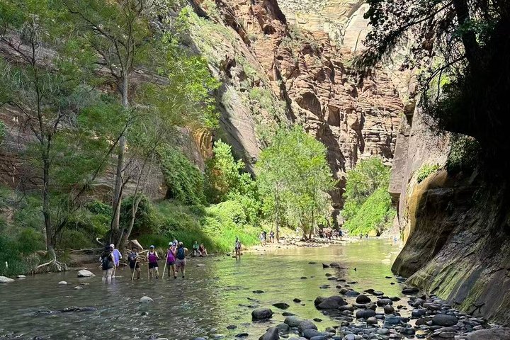 Small group tour exploring the stunning red rock canyons and scenic trails of Zion National Park from Las Vegas, photo 24 | wizardtrip