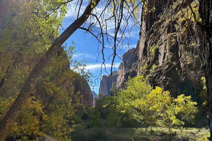 Small group tour exploring the stunning red rock canyons and scenic trails of Zion National Park from Las Vegas, photo 26 | wizardtrip