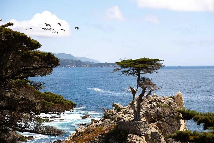サンフランシスコ発、17マイルドライブ、モントレー半島、カーメル・バイ・ザ・シーの景色の良い海岸ドライブ、写真7 | wizardtrip