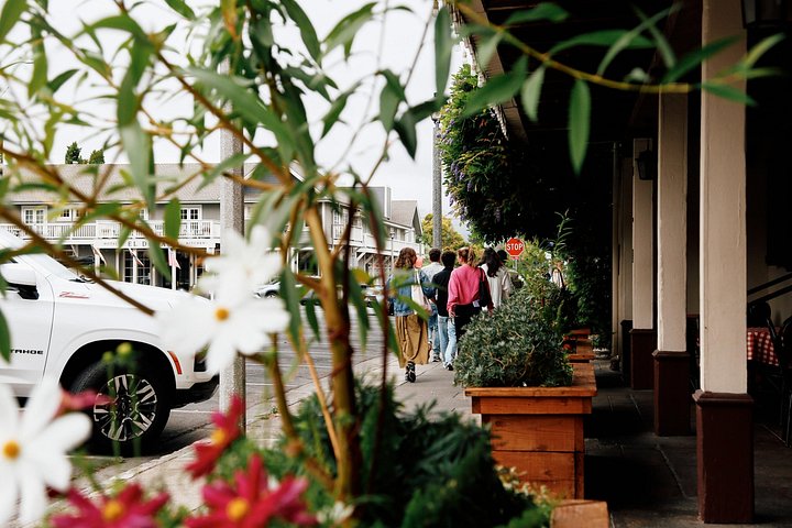 Vinrejse for små grupper fra San Francisco til Napa og Sonoma med vinmarker, vingårde og naturskønne udsigtspunkter, foto 8 | wizardtrip