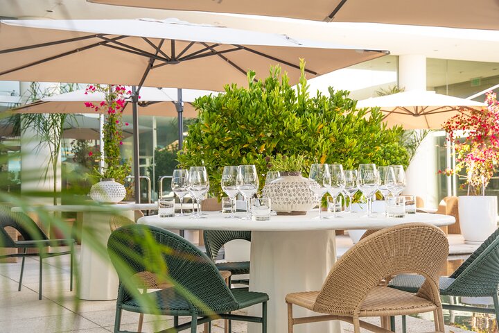 Vinrejse for små grupper fra San Francisco til Napa og Sonoma med vinmarker, vingårde og naturskønne udsigtspunkter, foto 9 | wizardtrip