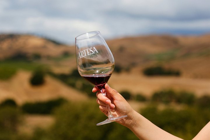 Vinrejse for små grupper fra San Francisco til Napa og Sonoma med vinmarker, vingårde og naturskønne udsigtspunkter, foto 18 | wizardtrip