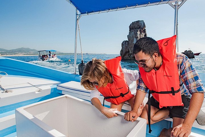 Visite touristique de Cabo San Lucas et San Jose del Cabo, Mexique, avec des monuments et des excursions en bateau, photo 9 | wizardtrip