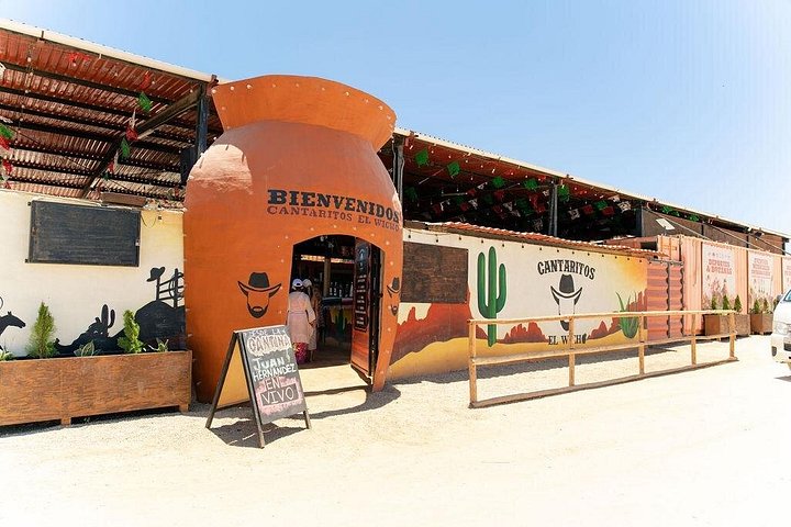 Visite touristique de Cabo San Lucas et San Jose del Cabo, Mexique, avec des monuments et des excursions en bateau, photo 23 | wizardtrip