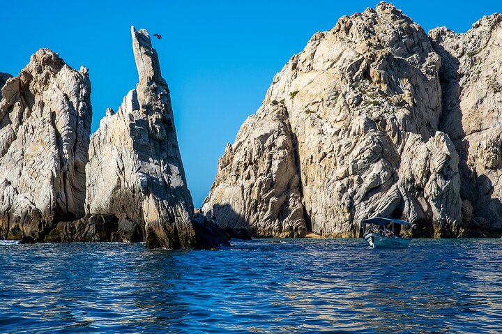 Paseo en barco a Land's End, Cabo San Lucas, México, con el Arco y vida marina, foto 13 | wizardtrip
