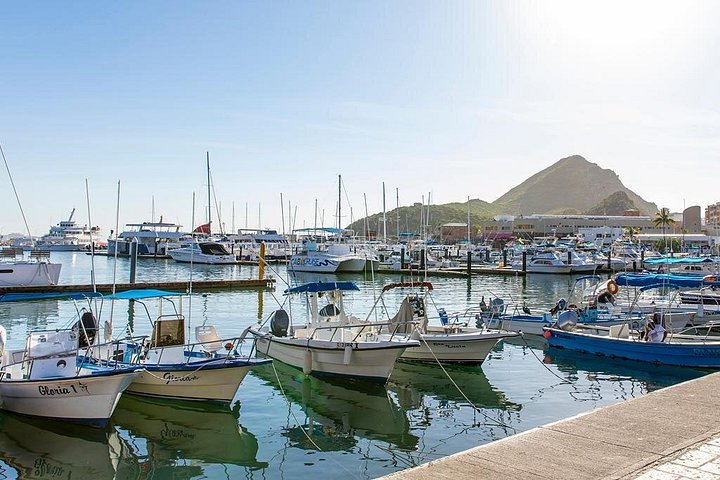 Paseo en barco a Land's End, Cabo San Lucas, México, con el Arco y vida marina, foto 19 | wizardtrip
