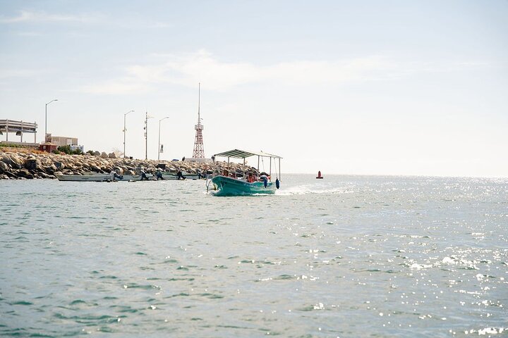 Paseo en barco a Land's End, Cabo San Lucas, México, con el Arco y vida marina, foto 26 | wizardtrip