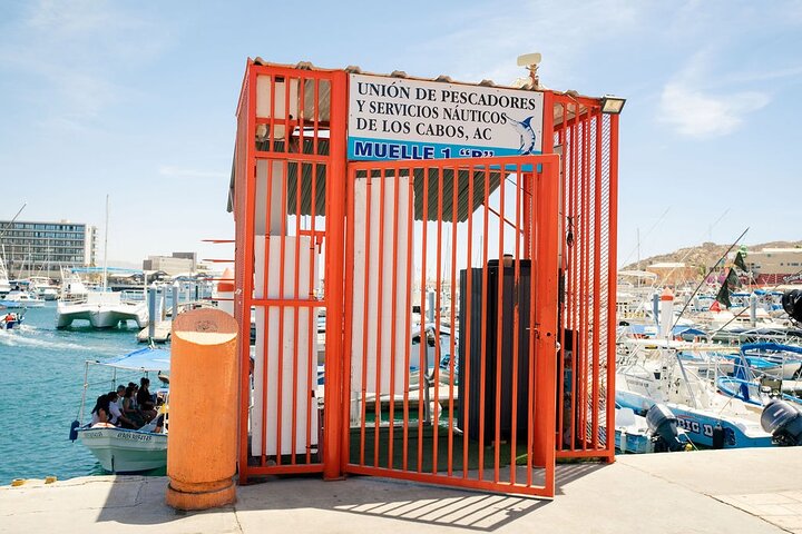 Paseo en barco a Land's End, Cabo San Lucas, México, con el Arco y vida marina, foto 27 | wizardtrip