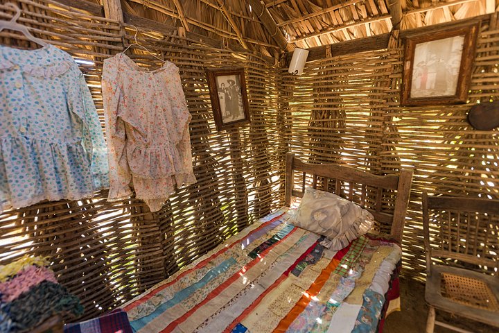 Udforsk den kunstneriske by Todos Santos på en dagstur fra Cabo San Lucas med kultur, historie og lokalt håndværk, foto 12 | wizardtrip
