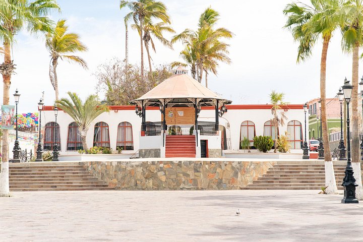 Udforsk den kunstneriske by Todos Santos på en dagstur fra Cabo San Lucas med kultur, historie og lokalt håndværk, foto 18 | wizardtrip