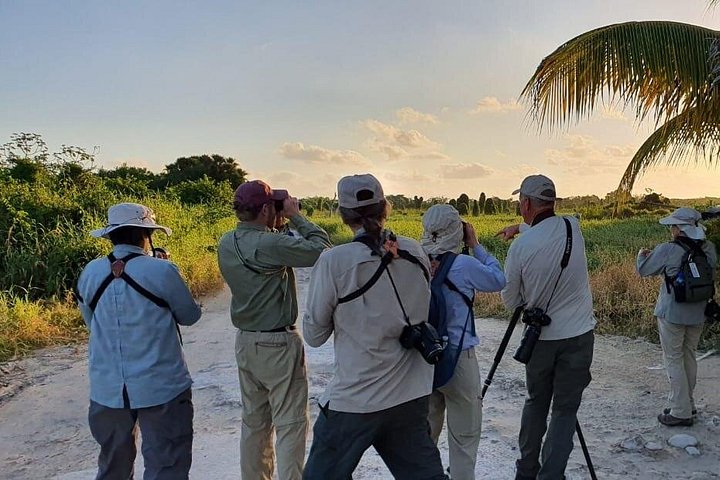 コズメル島プライベートツアー、バンまたはジープで、カスタマイズ可能な旅程とガイド付き、写真22 | wizardtrip