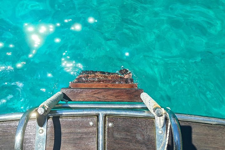 Privé boottocht rond Capri, verken grotten en zwem in helder water, foto 13 | wizardtrip