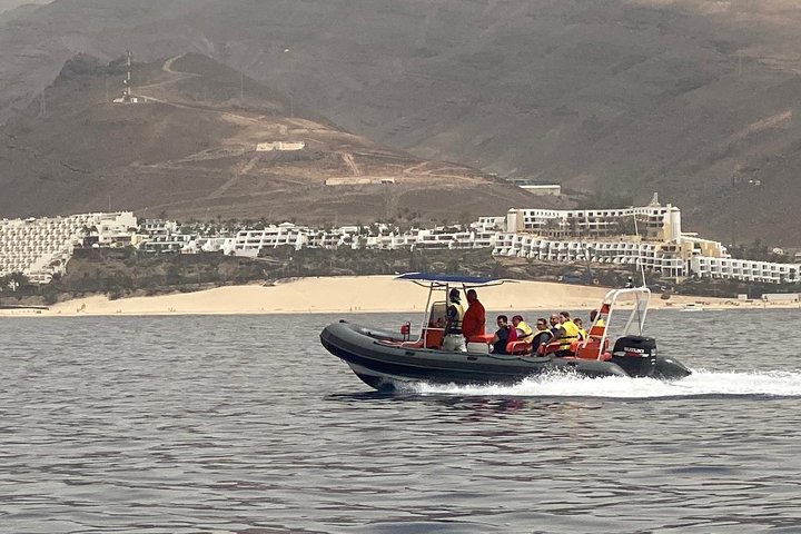 Bådtur på Fuerteventura for hvalsafari med snorkling, foto 6 | wizardtrip