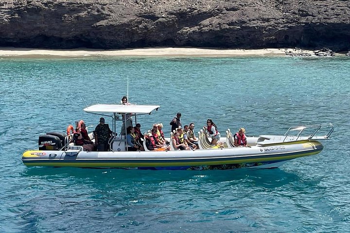 Bådtur på Fuerteventura for hvalsafari med snorkling, foto 15 | wizardtrip