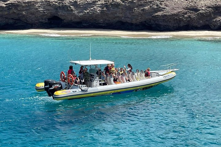 Bådtur på Fuerteventura for hvalsafari med snorkling, foto 16 | wizardtrip