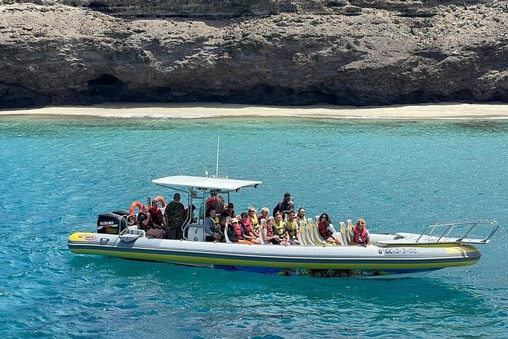 Bådtur på Fuerteventura for hvalsafari med snorkling, foto 17 | wizardtrip
