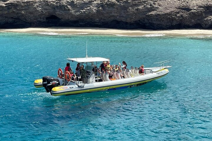 Bådtur på Fuerteventura for hvalsafari med snorkling, foto 18 | wizardtrip