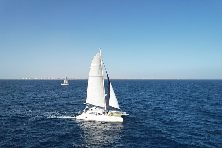 Goditi una crociera in catamarano di mezza giornata lungo la costa dell'isola di Sal, Capo Verde, con nuoto e snorkeling, foto 7 | wizardtrip
