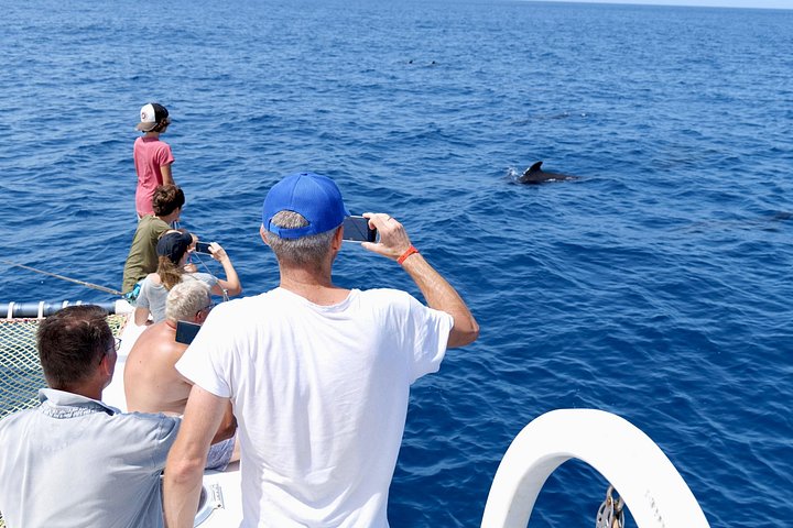 Goditi una crociera in catamarano di mezza giornata lungo la costa dell'isola di Sal, Capo Verde, con nuoto e snorkeling, foto 15 | wizardtrip
