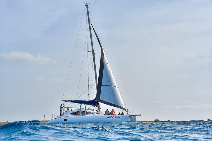 Goditi una crociera in catamarano di mezza giornata lungo la costa dell'isola di Sal, Capo Verde, con nuoto e snorkeling, foto 16 | wizardtrip