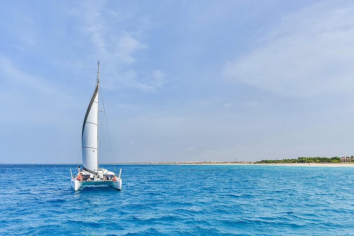 Goditi una crociera in catamarano di mezza giornata lungo la costa dell'isola di Sal, Capo Verde, con nuoto e snorkeling, foto 17 | wizardtrip