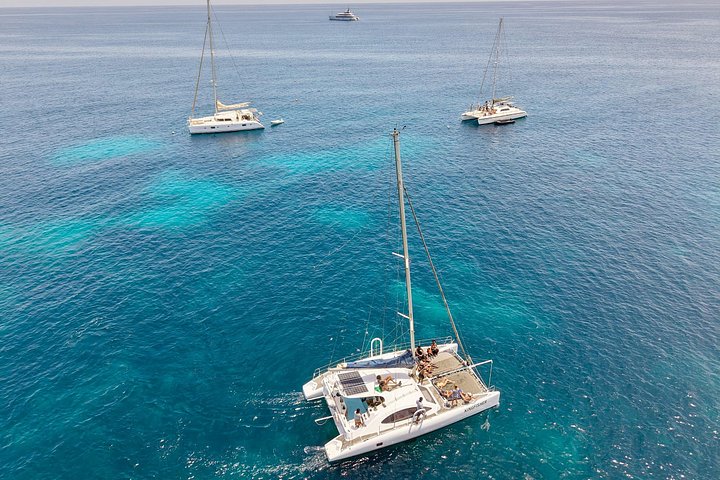 Goditi una crociera in catamarano di mezza giornata lungo la costa dell'isola di Sal, Capo Verde, con nuoto e snorkeling, foto 46 | wizardtrip