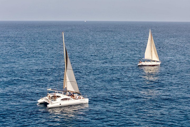 Goditi una crociera in catamarano di mezza giornata lungo la costa dell'isola di Sal, Capo Verde, con nuoto e snorkeling, foto 47 | wizardtrip