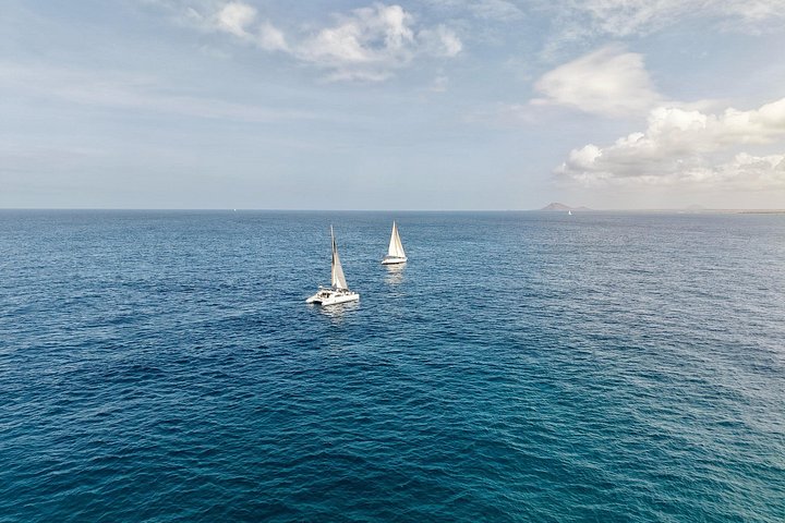Goditi una crociera in catamarano di mezza giornata lungo la costa dell'isola di Sal, Capo Verde, con nuoto e snorkeling, foto 48 | wizardtrip