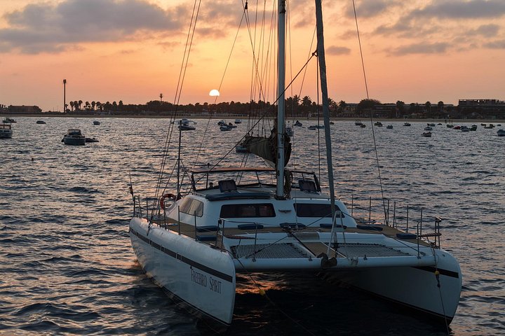 Goditi una crociera in catamarano di mezza giornata lungo la costa dell'isola di Sal, Capo Verde, con nuoto e snorkeling, foto 51 | wizardtrip