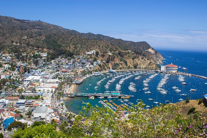 Oplev Avalon: Catalina Scenic Tour | wizardtrip