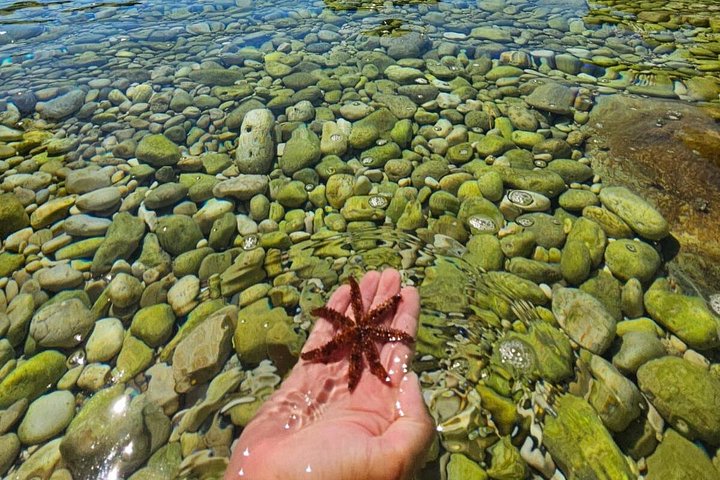 Båttur som utforskar Blå grottan, Hvar och andra öar i Kroatien, foto 36 | wizardtrip