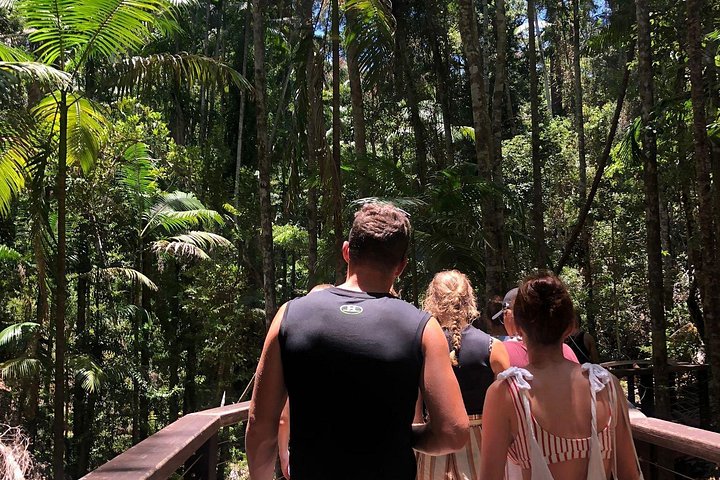 3-tägige 4x4-Abenteuertour auf K'gari (Fraser Island), Australien, mit Seen, Stränden und Schiffswracks, Foto 27 | wizardtrip