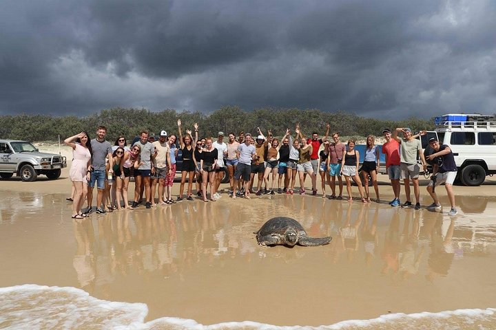 3-tägige 4x4-Abenteuertour auf K'gari (Fraser Island), Australien, mit Seen, Stränden und Schiffswracks, Foto 29 | wizardtrip