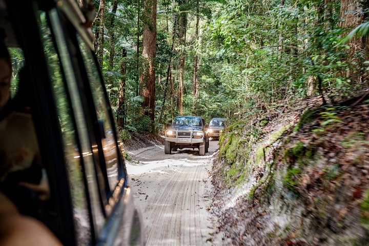 3-tägige 4x4-Abenteuertour auf K'gari (Fraser Island), Australien, mit Seen, Stränden und Schiffswracks, Foto 36 | wizardtrip