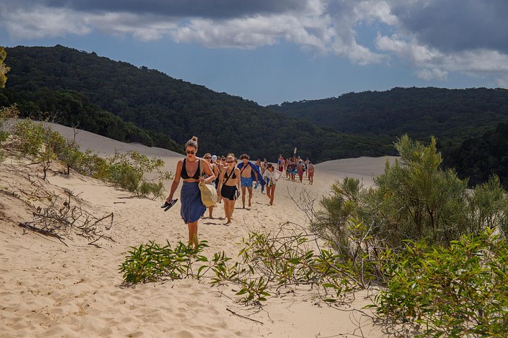 3-tägige 4x4-Abenteuertour auf K'gari (Fraser Island), Australien, mit Seen, Stränden und Schiffswracks, Foto 37 | wizardtrip
