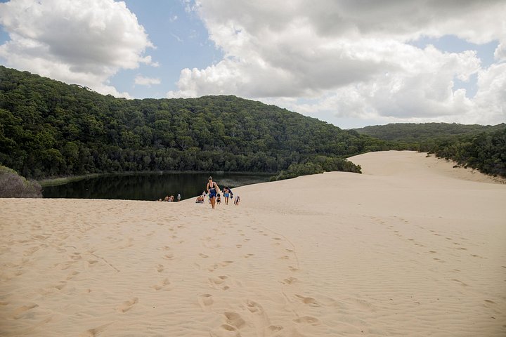 3-tägige 4x4-Abenteuertour auf K'gari (Fraser Island), Australien, mit Seen, Stränden und Schiffswracks, Foto 38 | wizardtrip