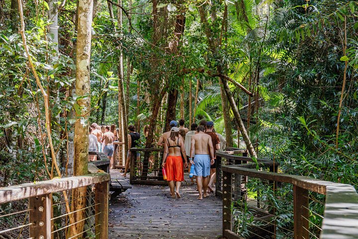 3-tägige 4x4-Abenteuertour auf K'gari (Fraser Island), Australien, mit Seen, Stränden und Schiffswracks, Foto 40 | wizardtrip
