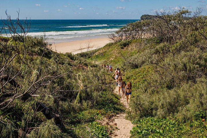 3-tägige 4x4-Abenteuertour auf K'gari (Fraser Island), Australien, mit Seen, Stränden und Schiffswracks, Foto 47 | wizardtrip