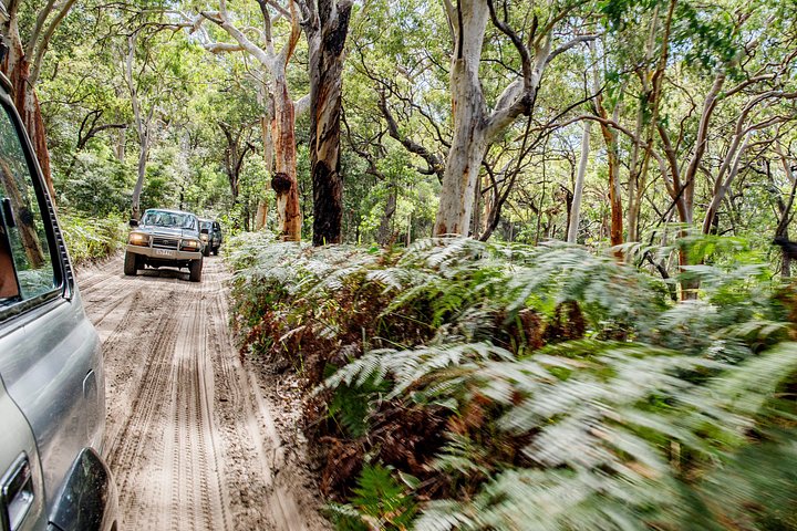 3-tägige 4x4-Abenteuertour auf K'gari (Fraser Island), Australien, mit Seen, Stränden und Schiffswracks, Foto 49 | wizardtrip