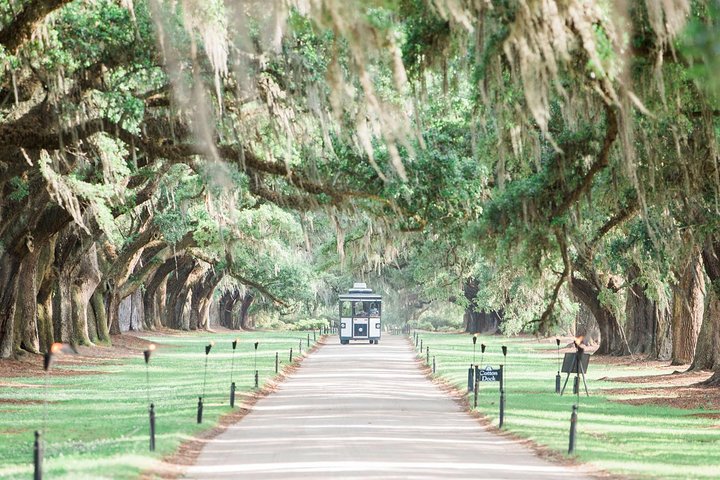 Bilhete de Admissão Total Boone Hall Plantation | wizardtrip