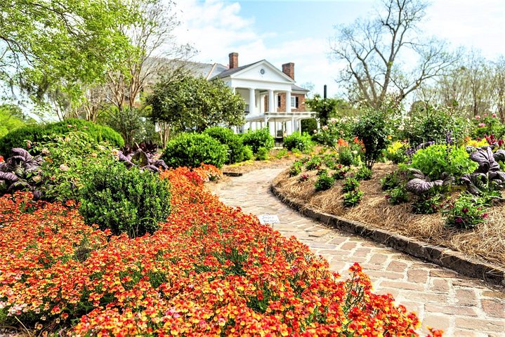 Explora la histórica Avenue of Oaks, jardines y cabañas de esclavos de Boone Hall Plantation en Charleston, foto 9 | wizardtrip