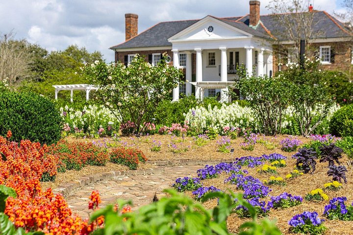 Explora la histórica Avenue of Oaks, jardines y cabañas de esclavos de Boone Hall Plantation en Charleston, foto 14 | wizardtrip