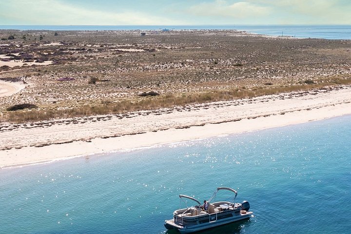 Excursion en bateau dans le parc naturel de Ria Formosa à Faro, Portugal, visitant ses magnifiques îles, photo 29 | wizardtrip