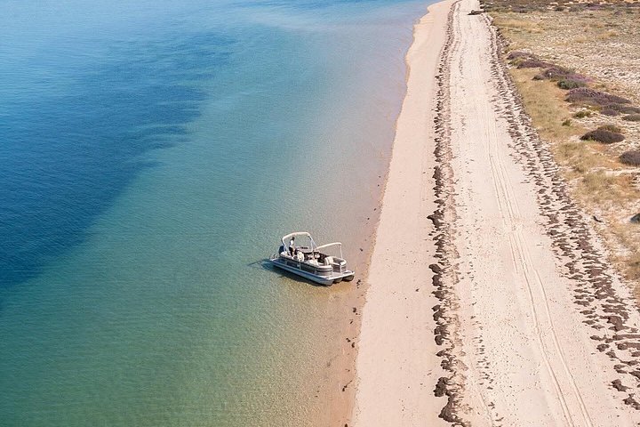 Excursion en bateau dans le parc naturel de Ria Formosa à Faro, Portugal, visitant ses magnifiques îles, photo 38 | wizardtrip