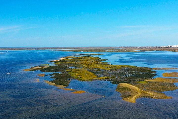 ポルトガル、ファロのリア・フォルモサ自然公園の島々と海を巡るボートツアー、写真11 | wizardtrip